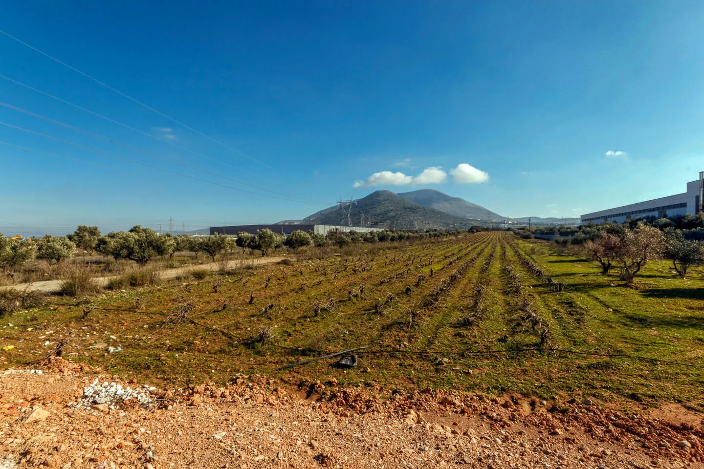 Property 1001 - Photo 3498