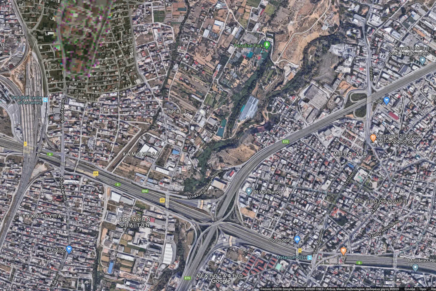 Property 1232 - Photo 8822