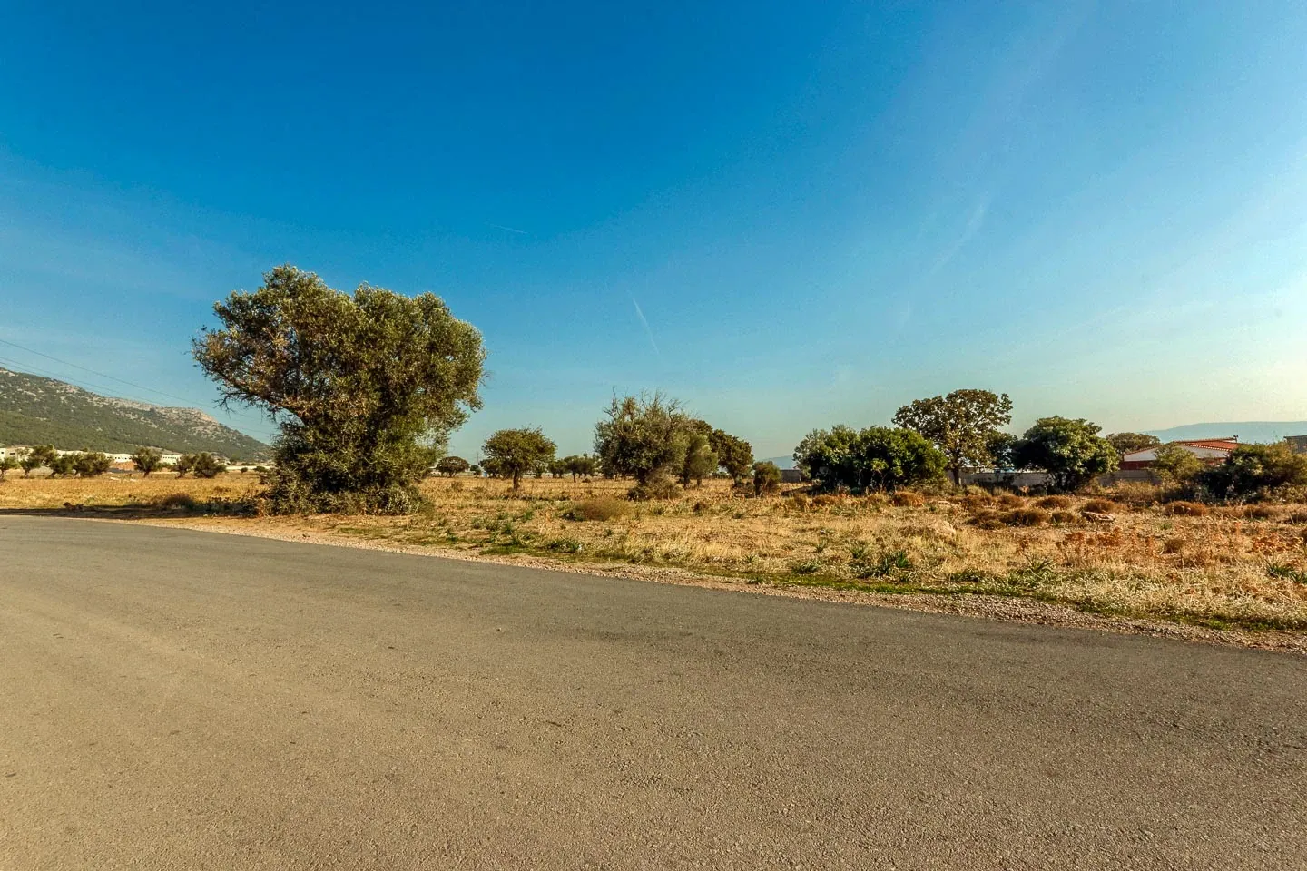 Property 1497 - Photo 2949