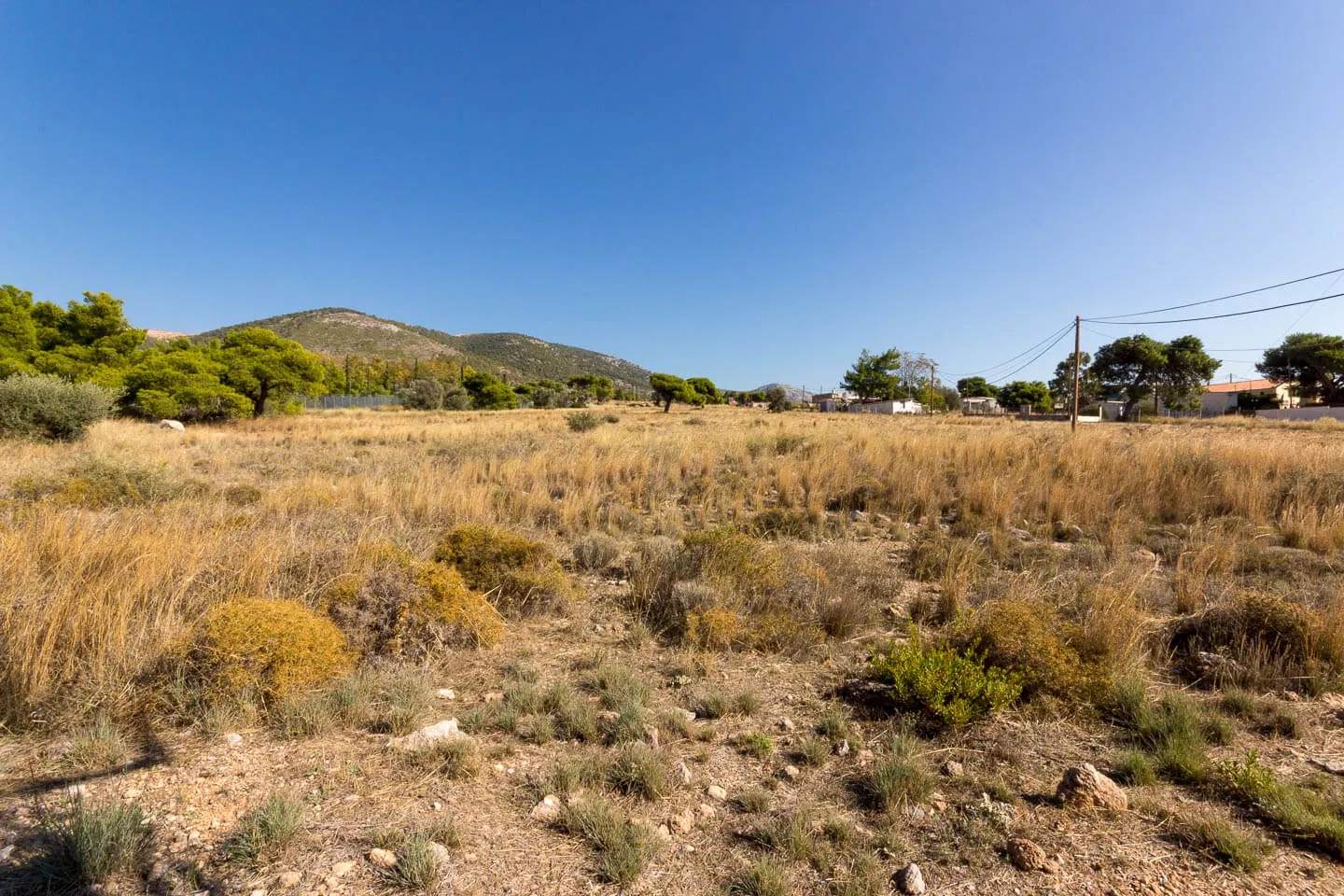 Attica plot 14.000 sq.m, for sale - photo 1 of 1