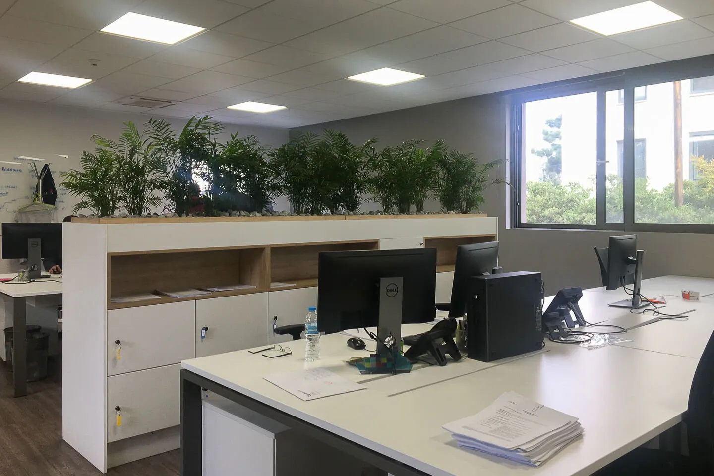 Property 1520 - Photo 8841