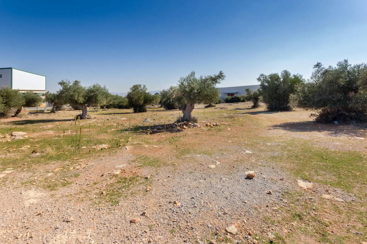 Property 1584 - Photo 3461