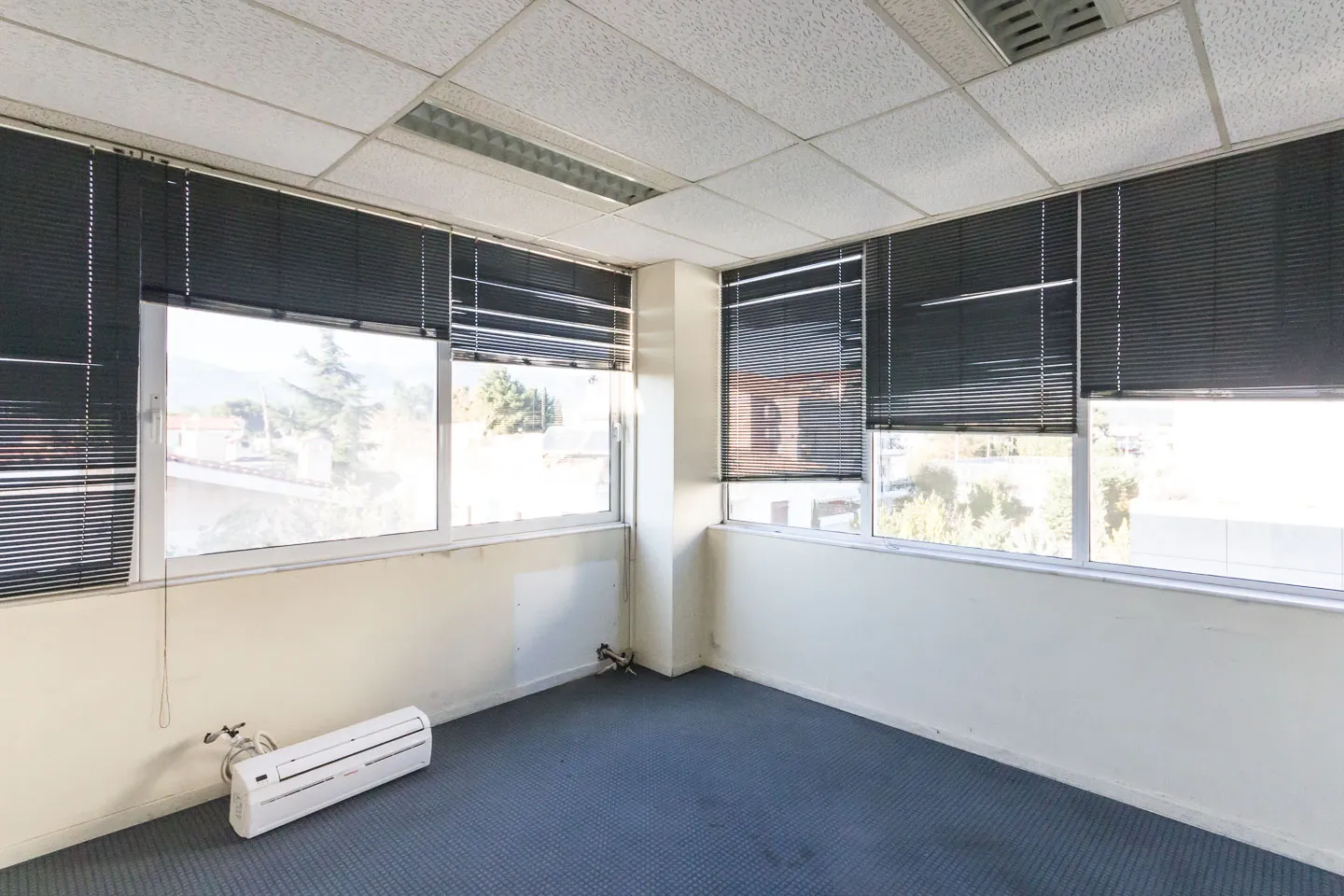 Property 1602 - Photo 4780