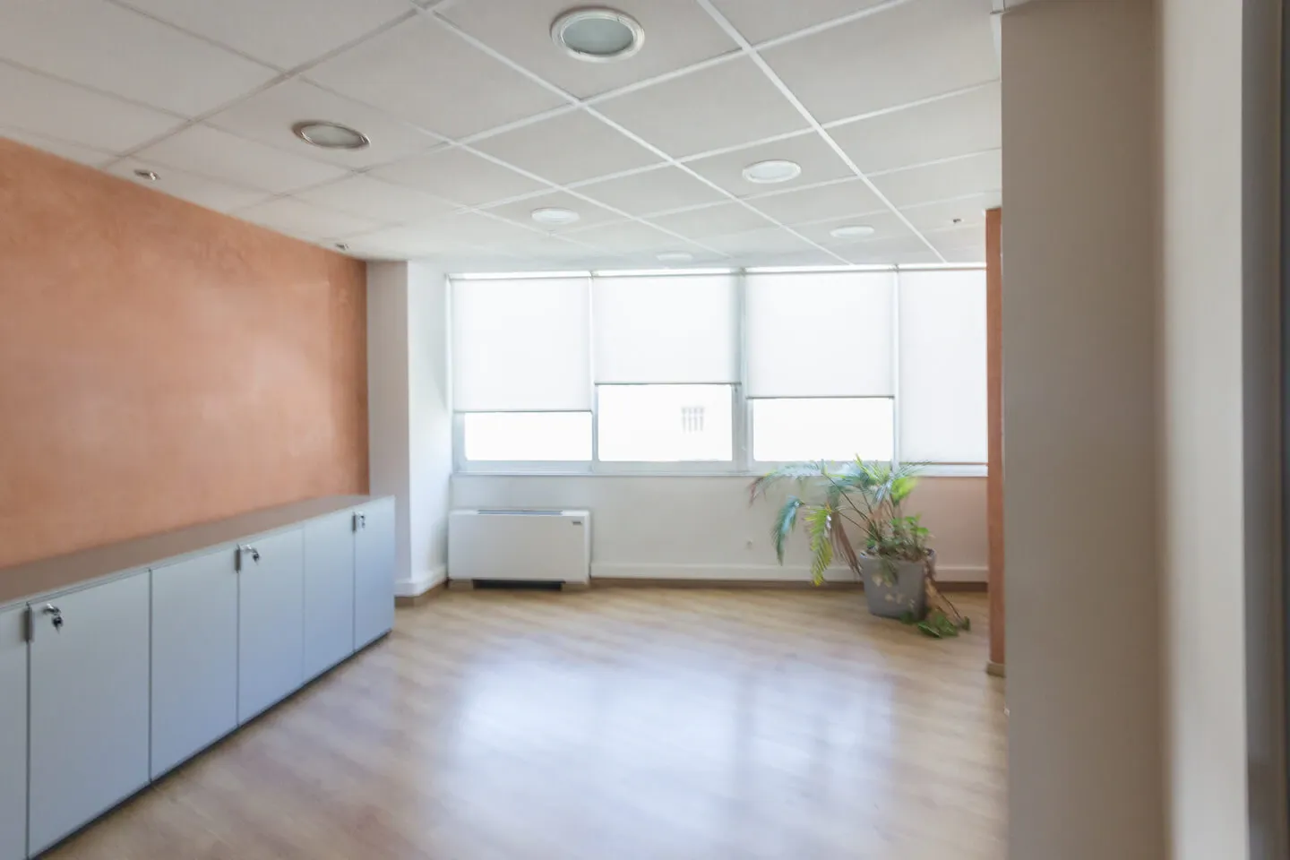 Property 1980 - Photo 6169