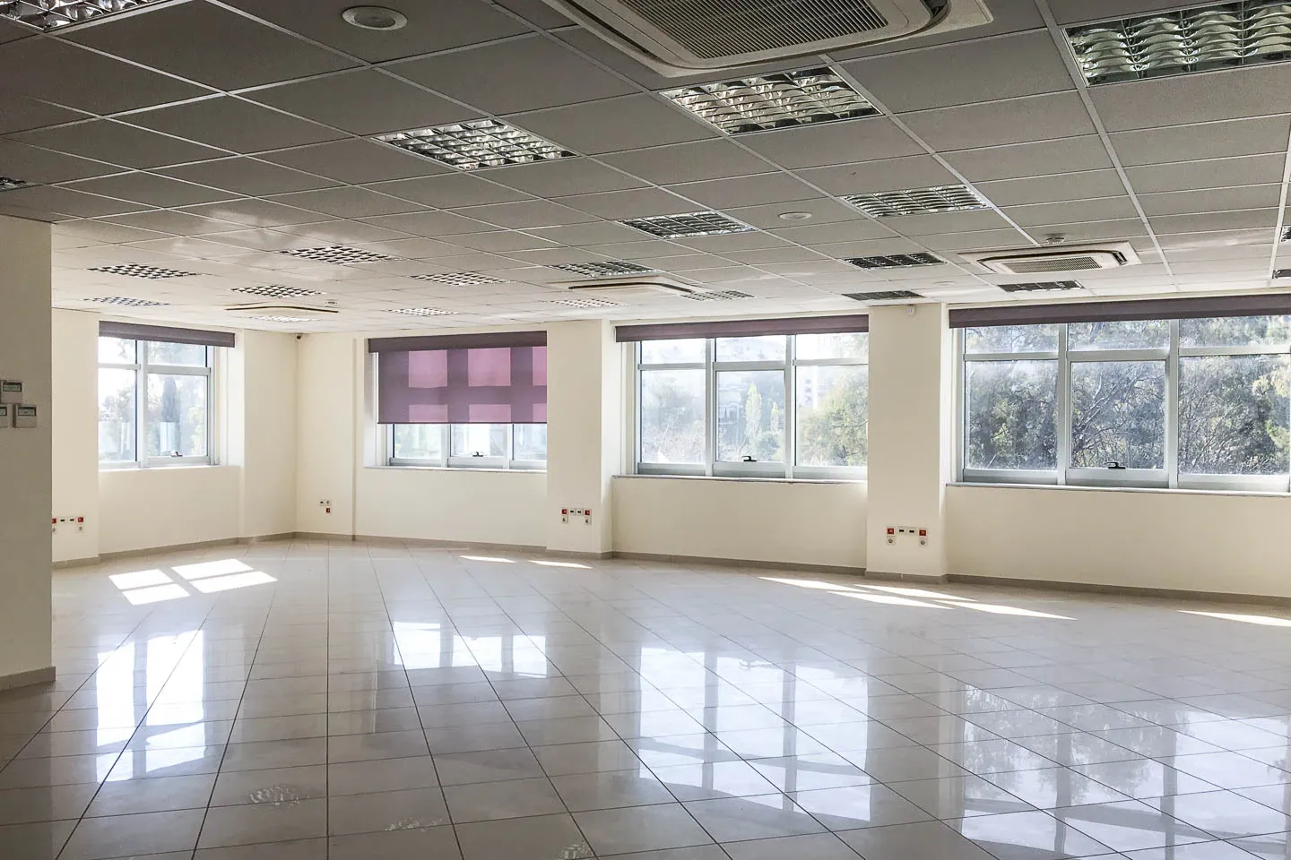 Property 2219 - Photo 7685