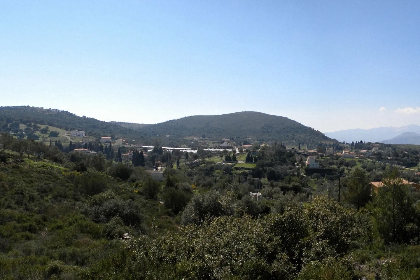 Property 236 - Photo 1231