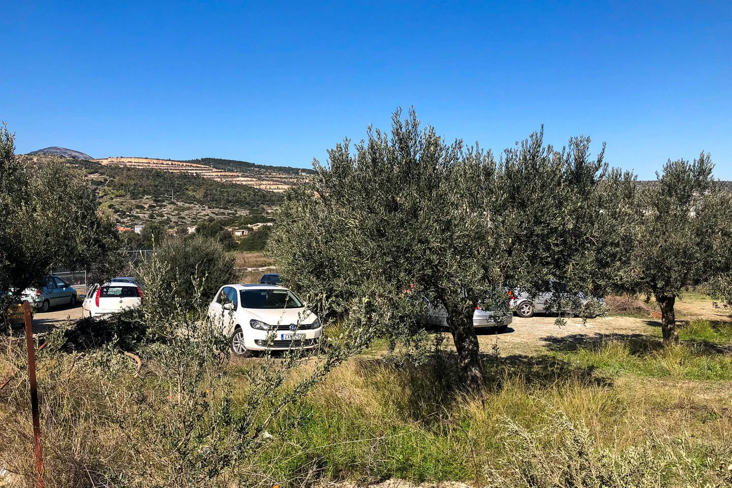 Property 2611 - Photo 9258