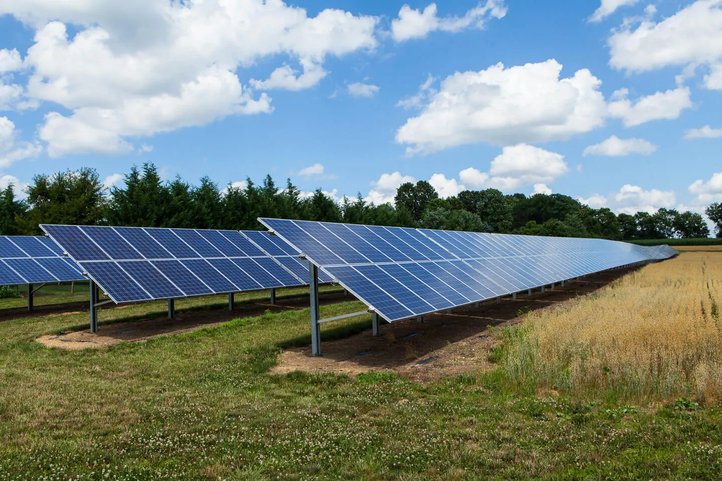 Property 2700 - Photo 9638