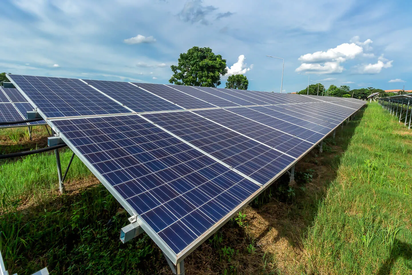 Property 2936 - Photo 10088