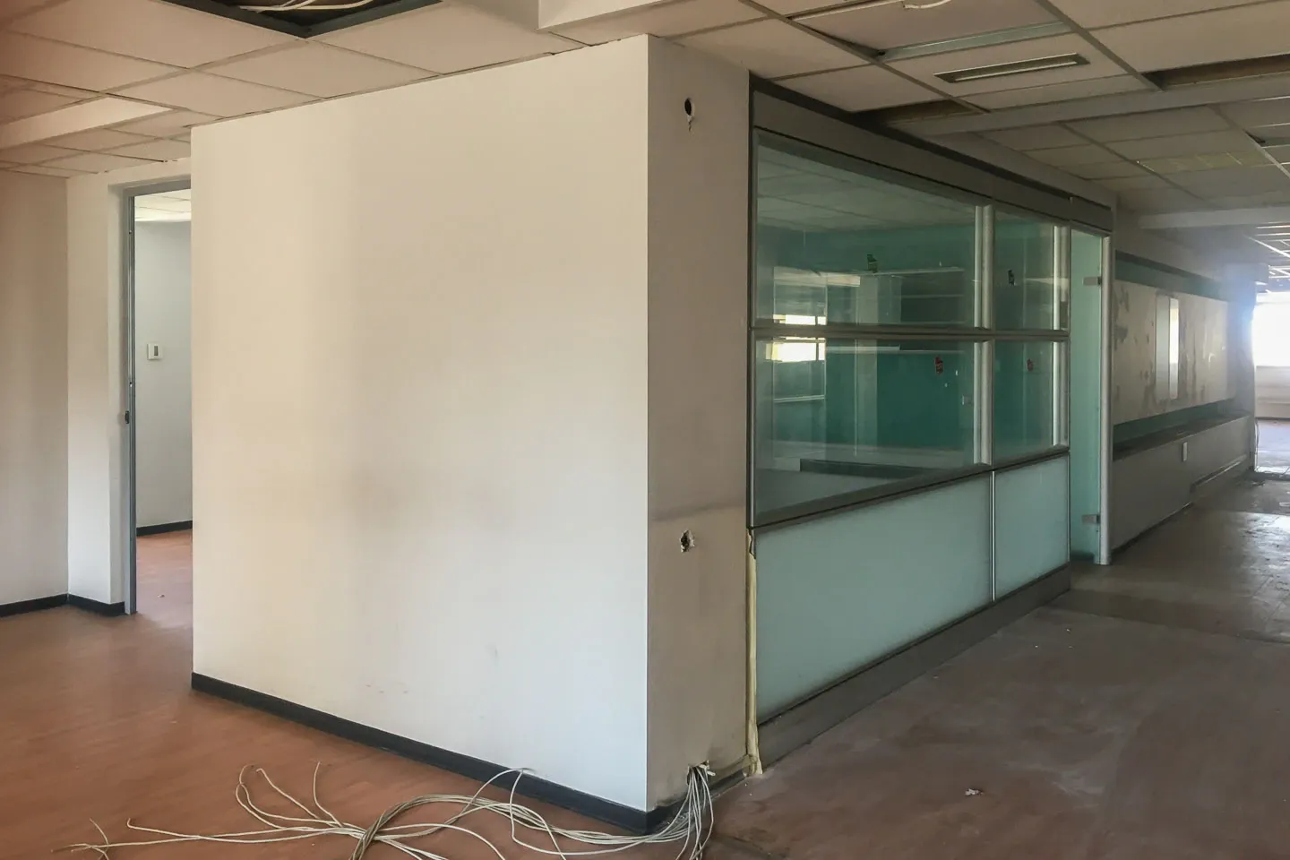 Property 3100 - Photo 10546