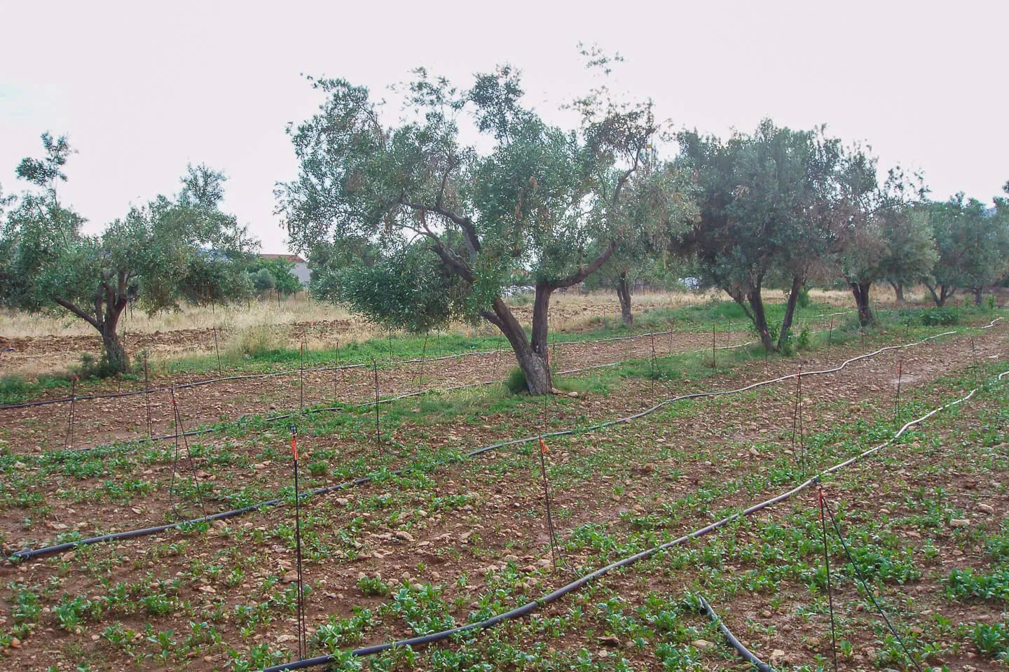 Property 41 - Photo 8565