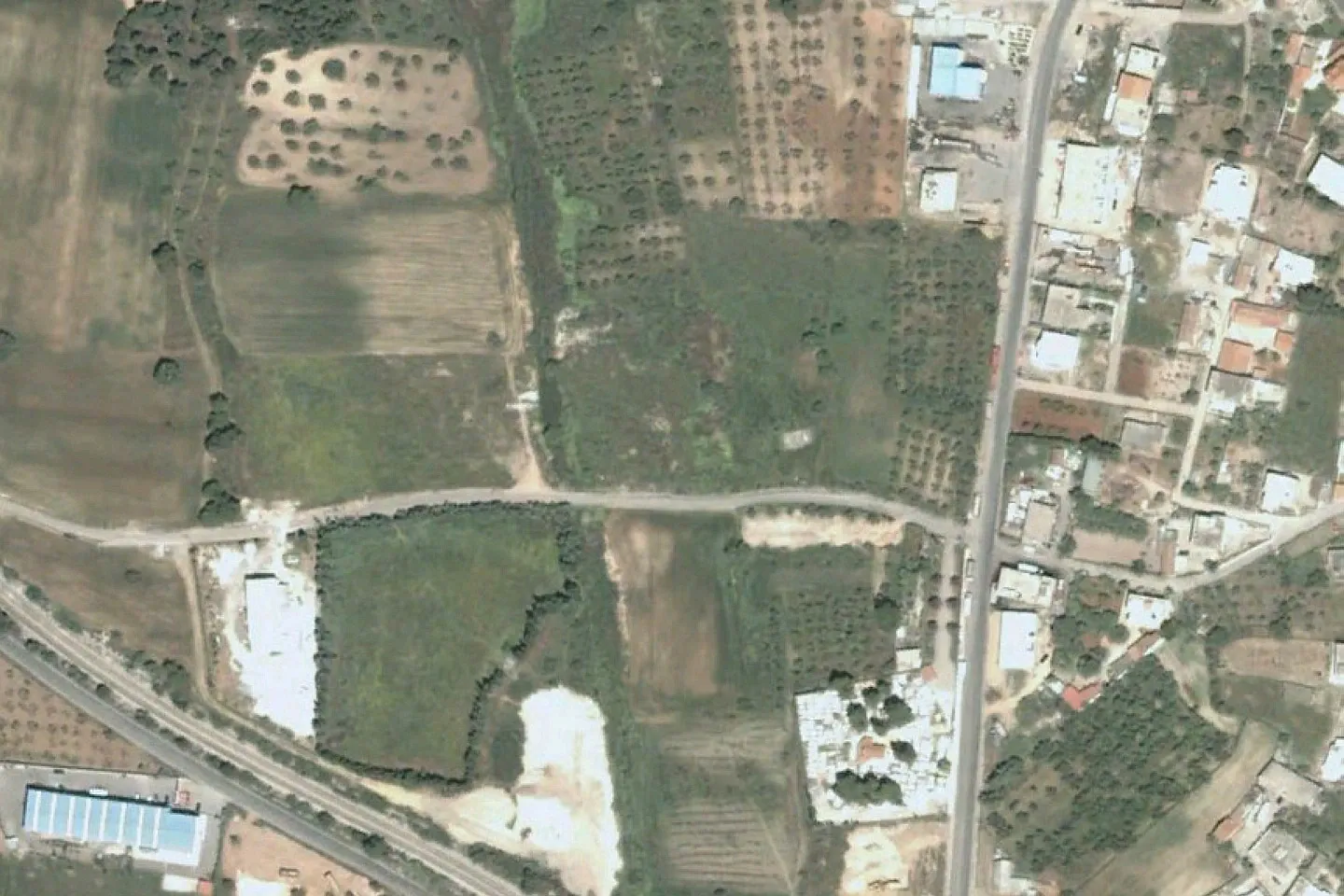 Property 450 - Photo 1444