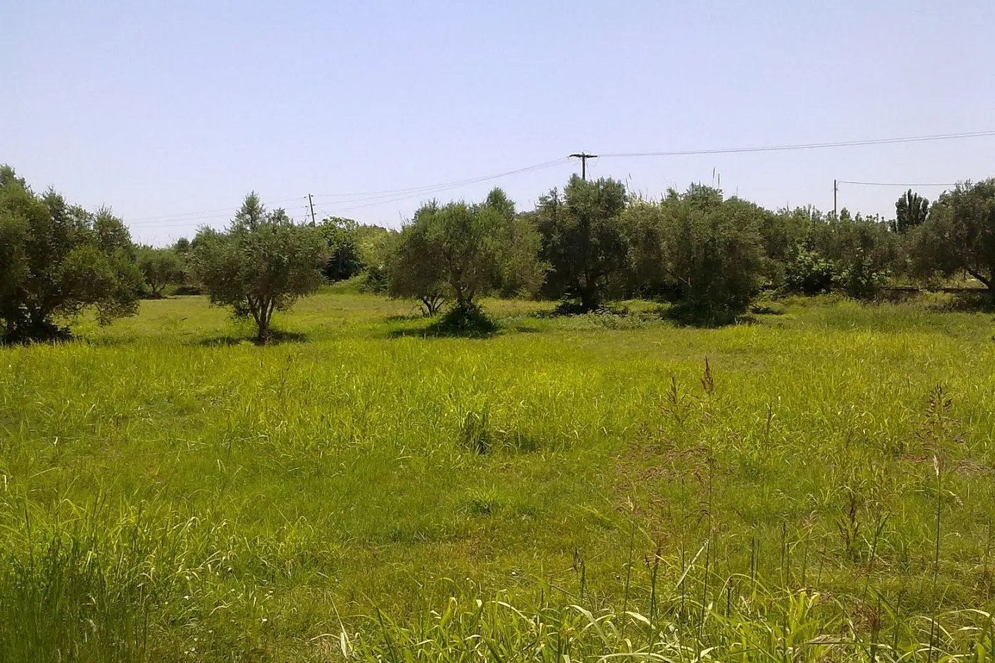 Property 610 - Photo 1619