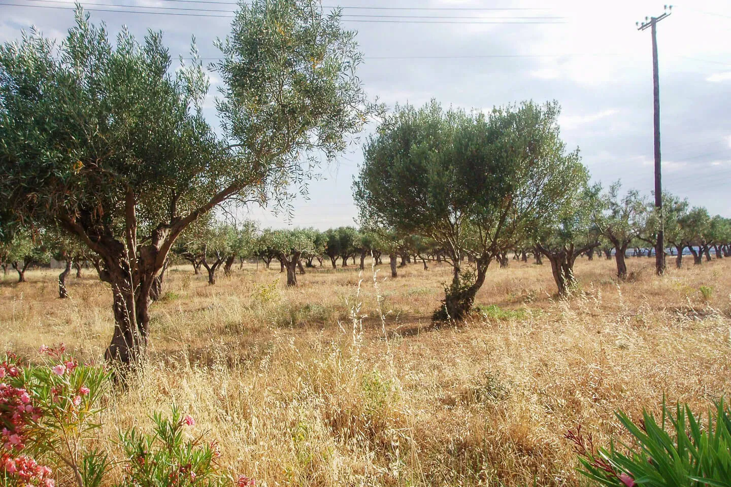 Property 70 - Photo 8543