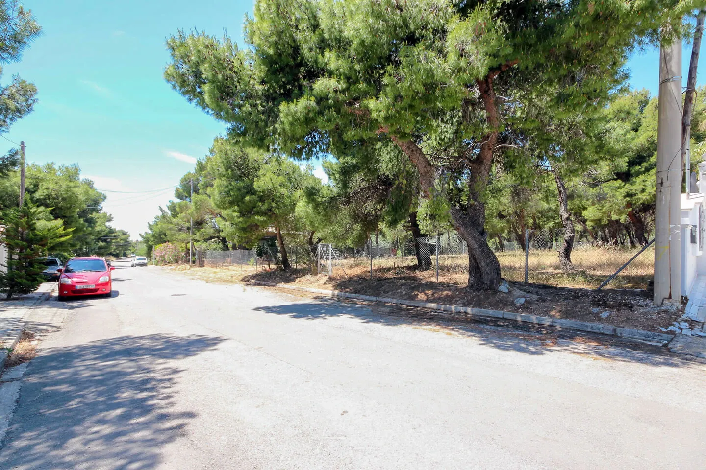 Property 893 - Photo 8644