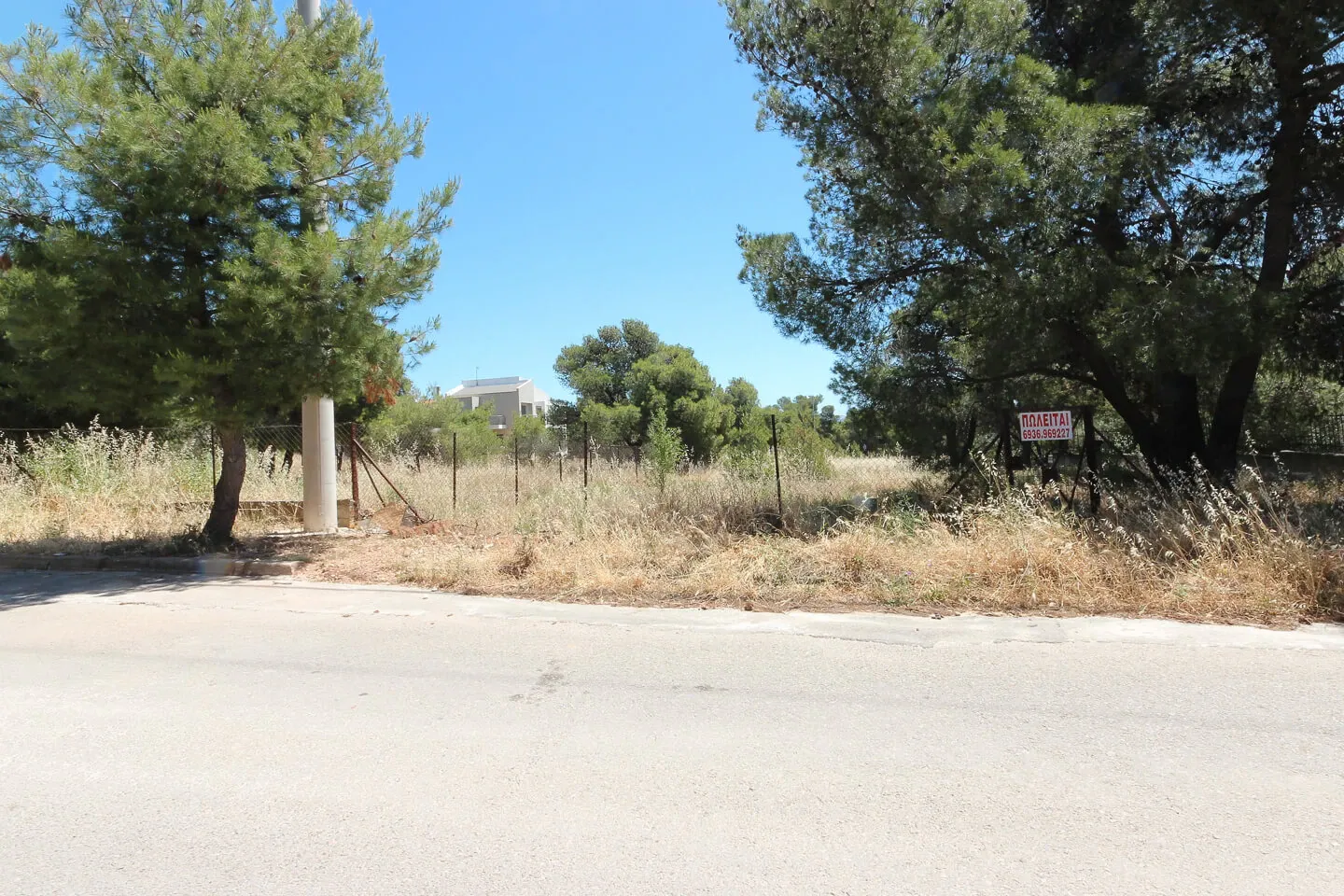 Property 895 - Photo 8532