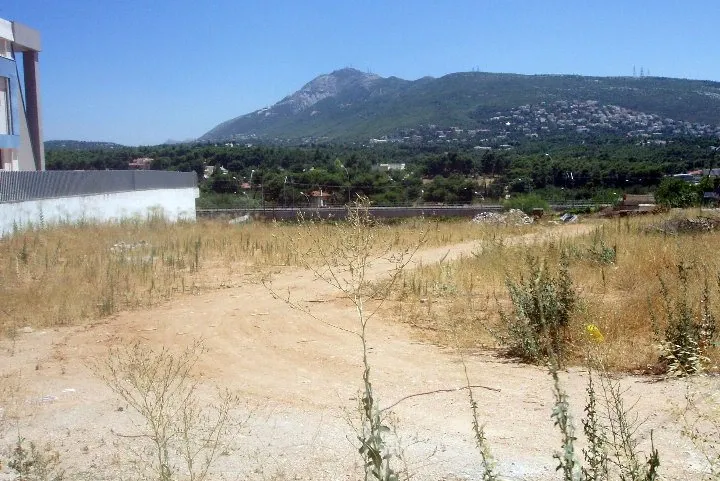 Property 90 - Photo 8626