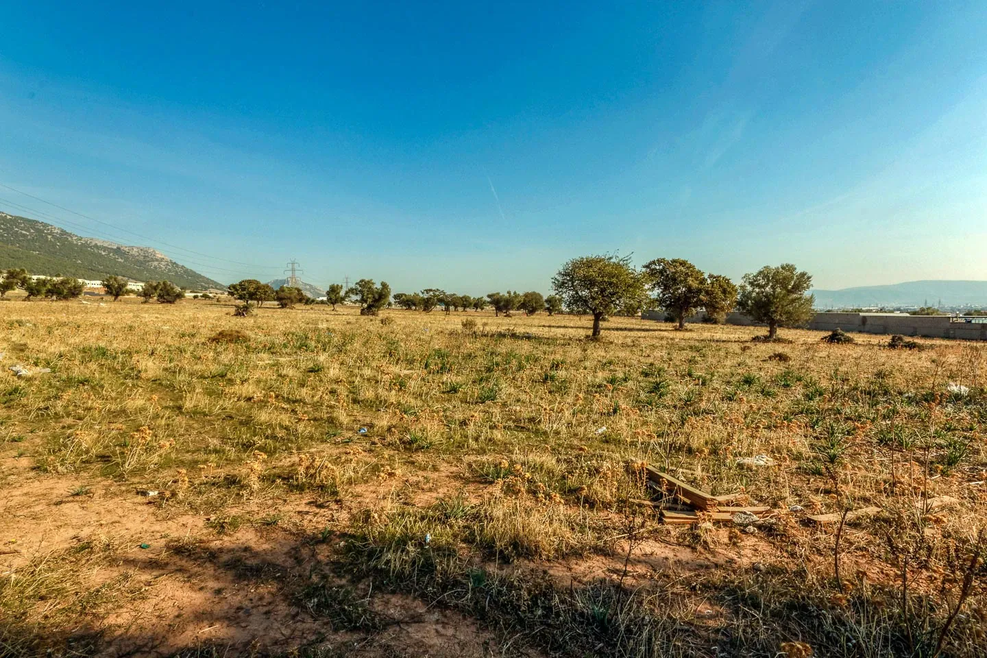 Property 972 - Photo 8614