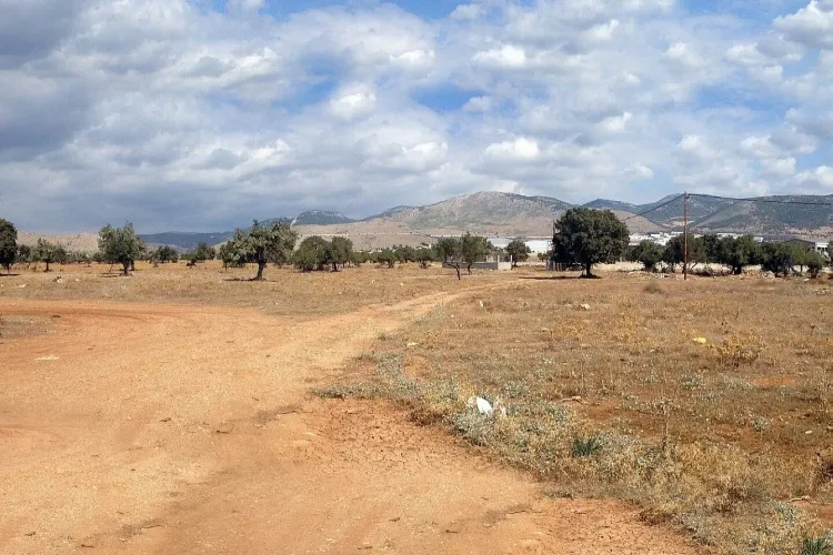 Property 1069 - Photo 2564