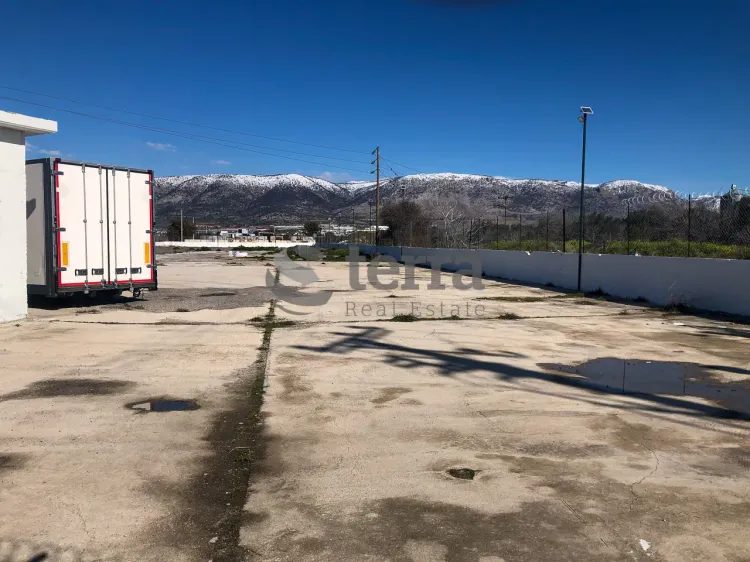 Property 3278 - Photo 11364